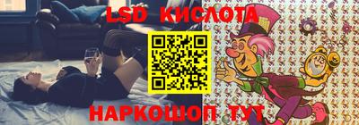 гидра Краснодар