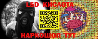 гидра Краснодар