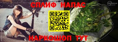 гидра Краснодар